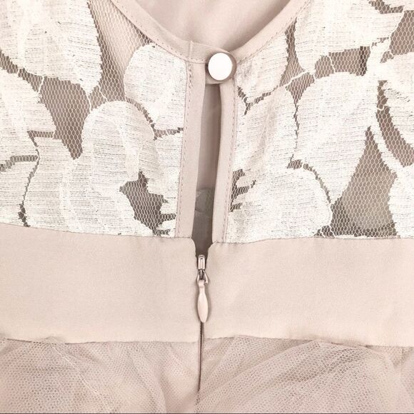 BCBG Generation Tan Blush Ruffle Tulle and Lace Dress - Picture 7 of 11